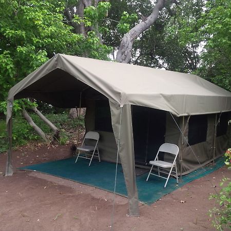Xakanaka Mobile Camp Xakanaxa Kültér fotó